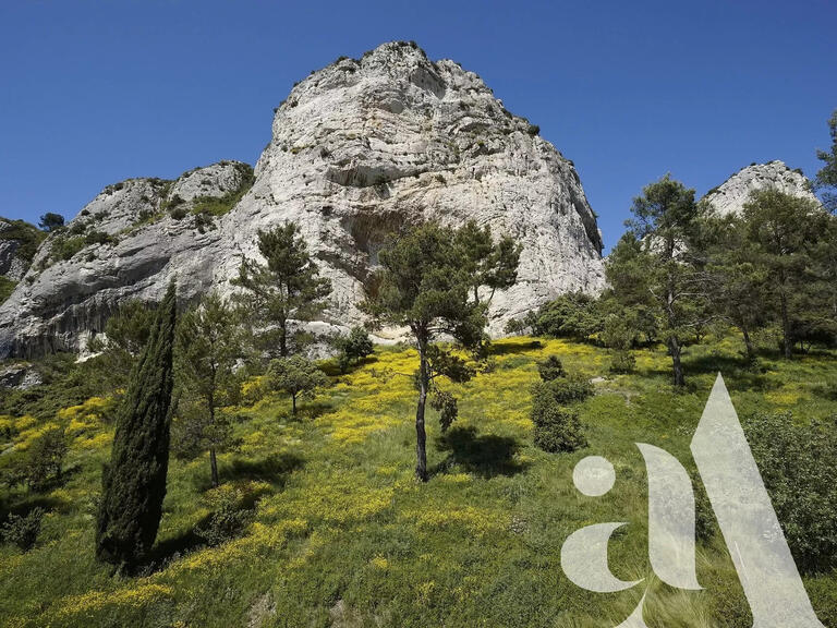 Maison Saint-Rémy-de-Provence - 5 chambres - 10000m²