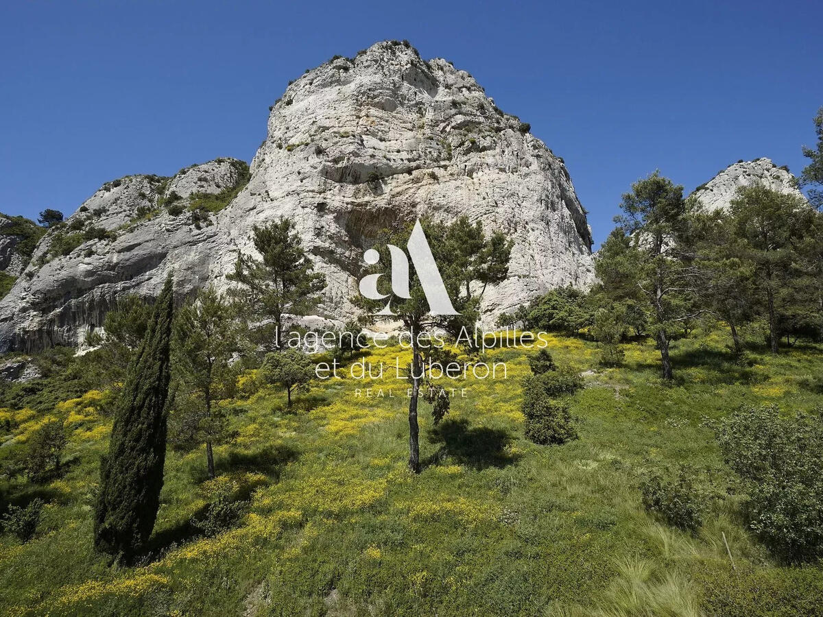 Maison Saint-Rémy-de-Provence