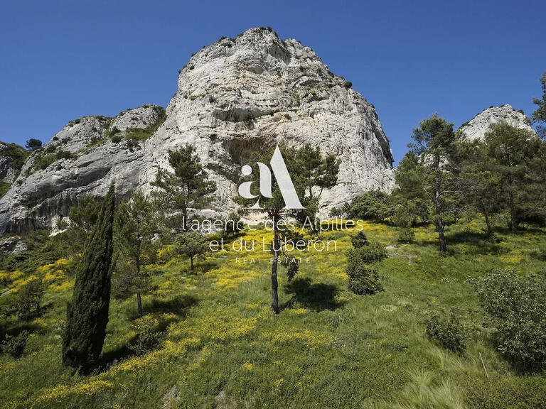 Maison Saint-Rémy-de-Provence - 5 chambres - 10000m²