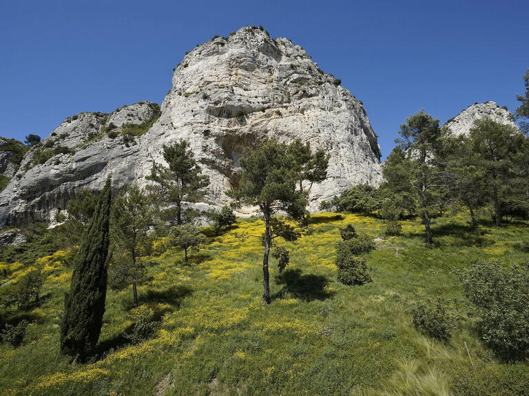 Maison Saint-Rémy-de-Provence - 5 chambres - 10000m²