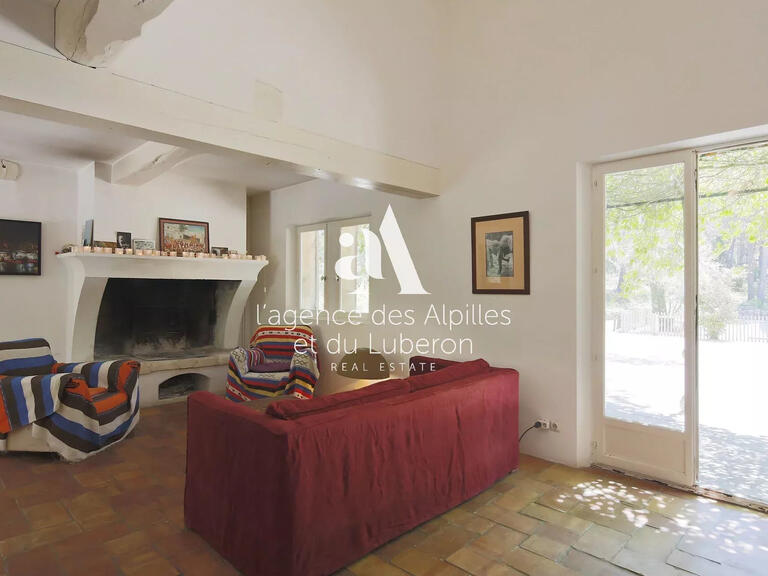 House Saint-Rémy-de-Provence - 5 bedrooms - 10000m²