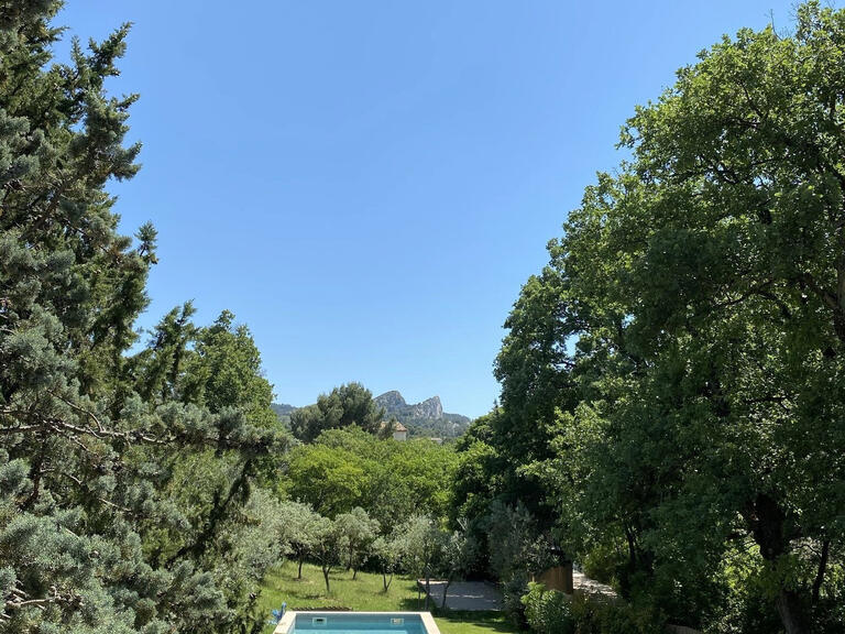 House Saint-Rémy-de-Provence - 5 bedrooms - 2000m²