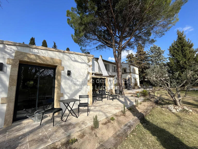 Maison Saint-Rémy-de-Provence - 5 chambres - 2000m²