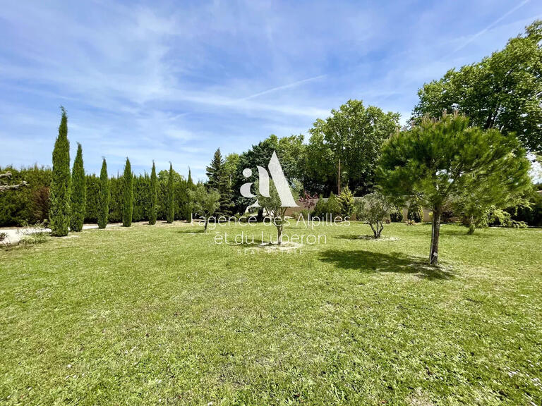 House Saint-Rémy-de-Provence - 5 bedrooms - 265m²