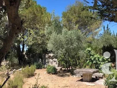 House Saint-Rémy-de-Provence - 2 bedrooms - 5500m²