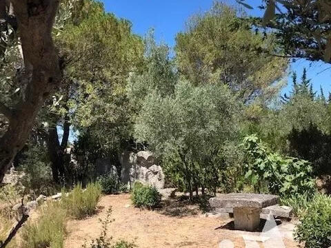 House Saint-Rémy-de-Provence - 2 bedrooms - 5500m²