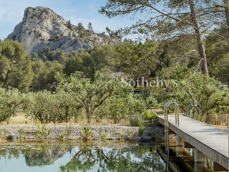 Maison Saint-Rémy-de-Provence - 4 chambres - 250m²