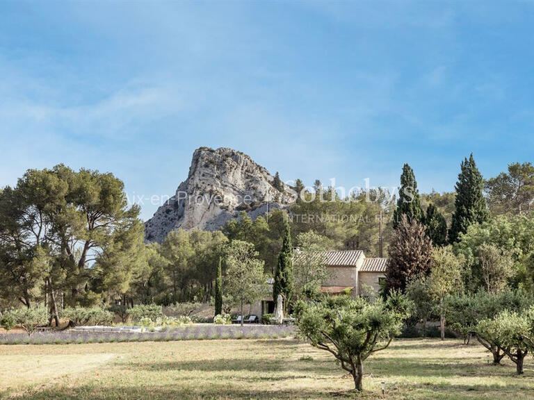 Maison Saint-Rémy-de-Provence - 4 chambres - 250m²