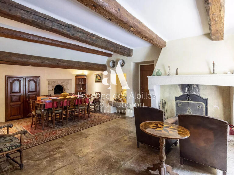 Maison Saint-Rémy-de-Provence - 7 chambres - 485m²