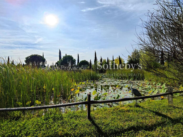 Maison Saint-Rémy-de-Provence - 6 chambres - 424m²