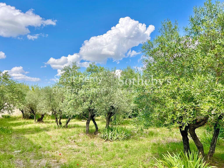 Maison Saint-Rémy-de-Provence - 5 chambres - 265m²