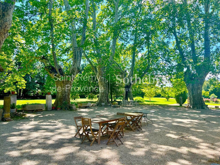 Maison Saint-Rémy-de-Provence - 8 chambres - 520m²