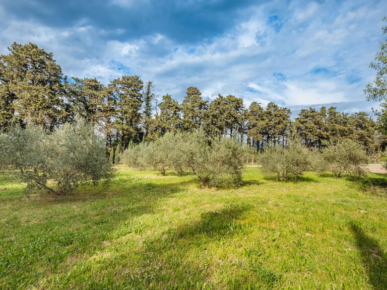 Maison Saint-Rémy-de-Provence - 4 chambres - 308m²