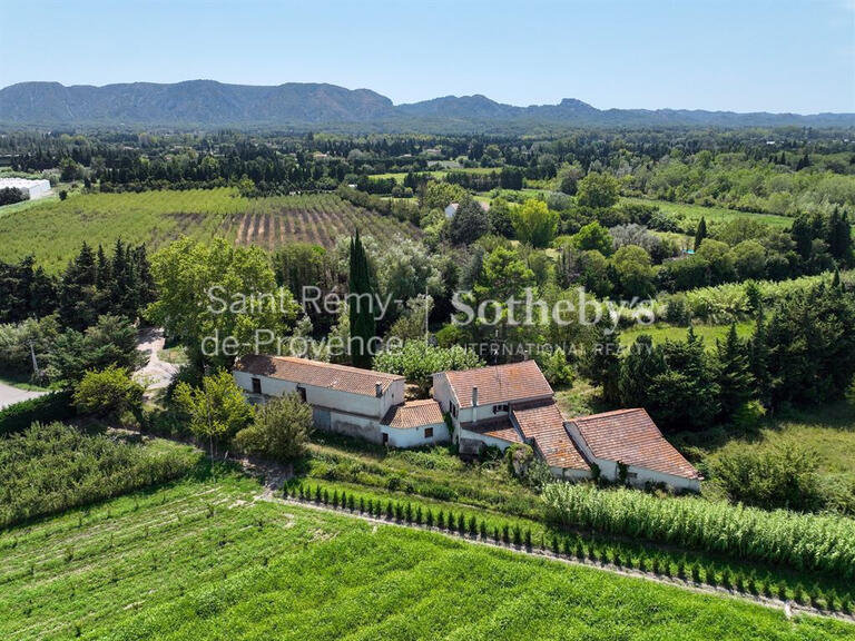 Maison Saint-Rémy-de-Provence - 5 chambres - 181m²