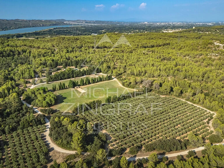 Maison Saint-Rémy-de-Provence - 7 chambres - 431m²