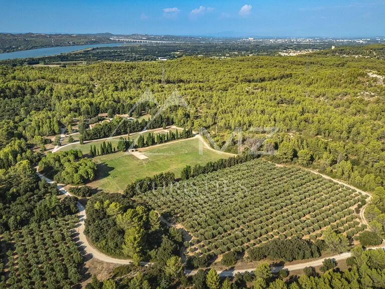 Maison Saint-Rémy-de-Provence - 7 chambres - 431m²