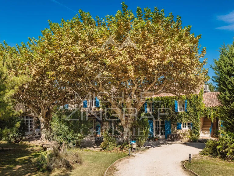 Maison Saint-Rémy-de-Provence - 8 chambres - 409m²