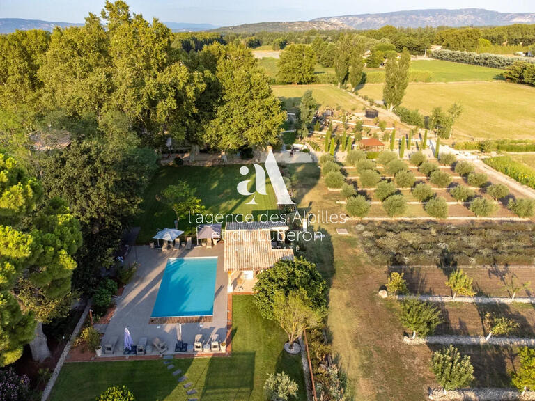 House Saint-Rémy-de-Provence - 7 bedrooms - 504m²