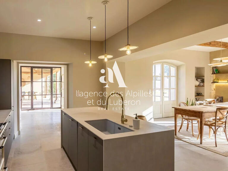 House Saint-Rémy-de-Provence - 5 bedrooms - 250m²