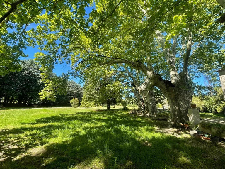 Maison Saint-Rémy-de-Provence - 10 chambres - 1031m²