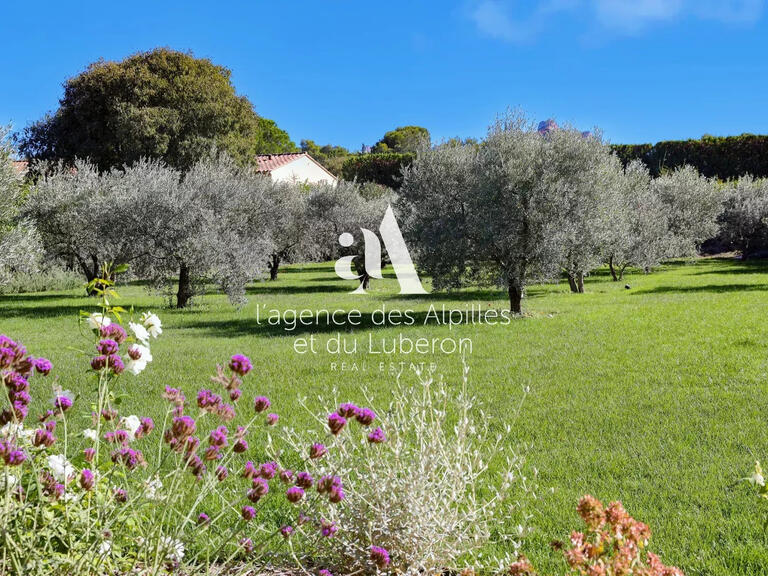 House Saint-Rémy-de-Provence - 5 bedrooms - 290m²