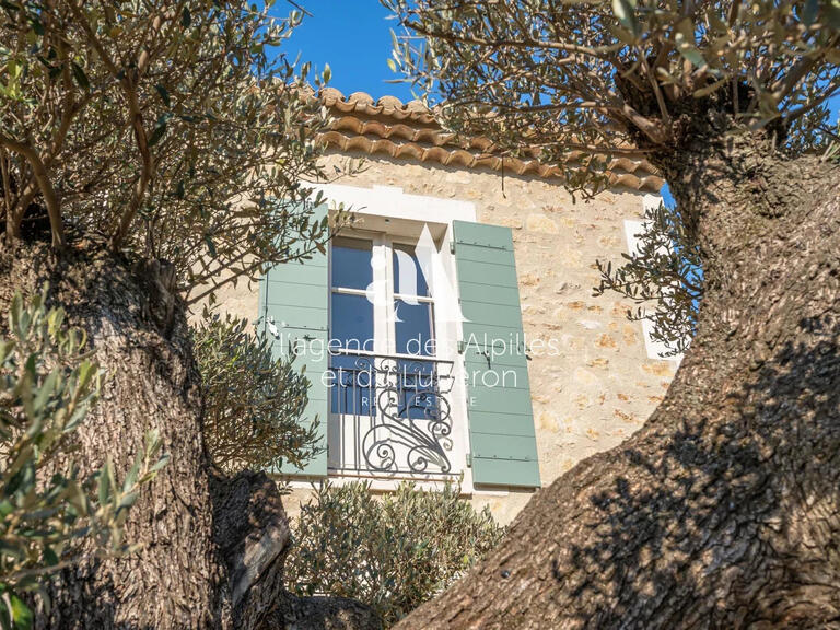 House Saint-Rémy-de-Provence - 4 bedrooms - 300m²