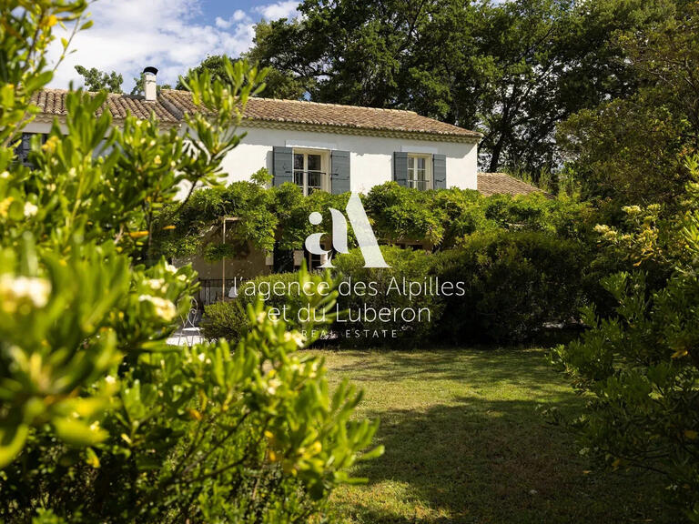 Maison Saint-Rémy-de-Provence - 7 chambres - 390m²