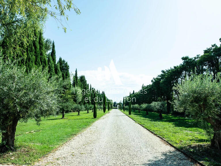 Maison Saint-Rémy-de-Provence - 7 chambres - 500m²