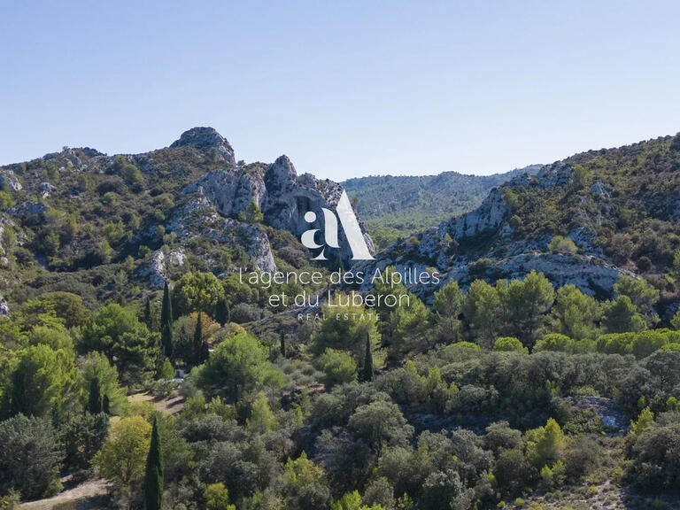 House Saint-Rémy-de-Provence - 9 bedrooms - 500m²