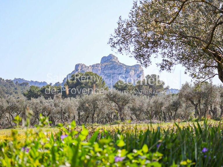 Maison Saint-Rémy-de-Provence - 6 chambres - 270m²