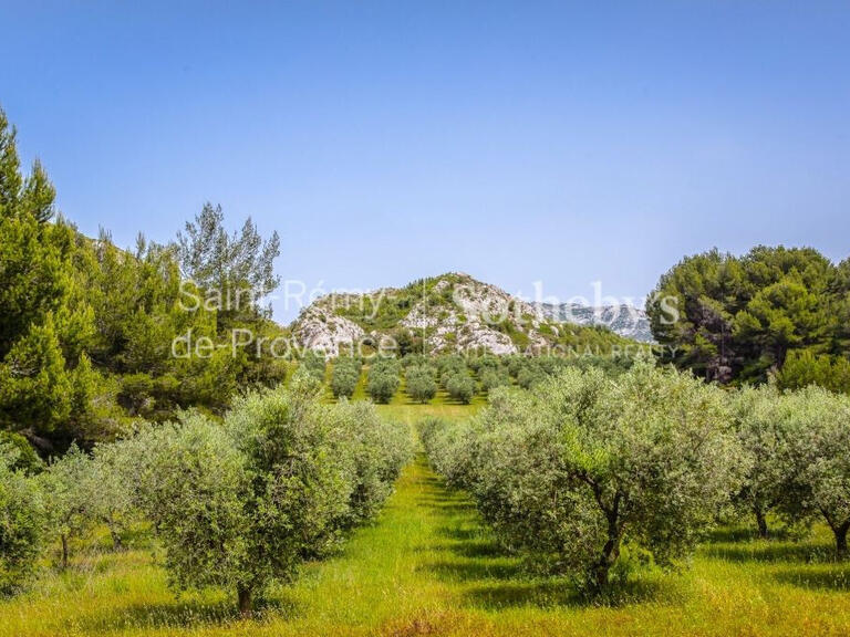 Maison Saint-Rémy-de-Provence - 6 chambres - 270m²