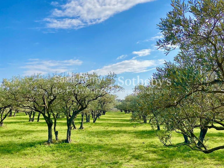 Maison Saint-Rémy-de-Provence - 6 chambres - 270m²