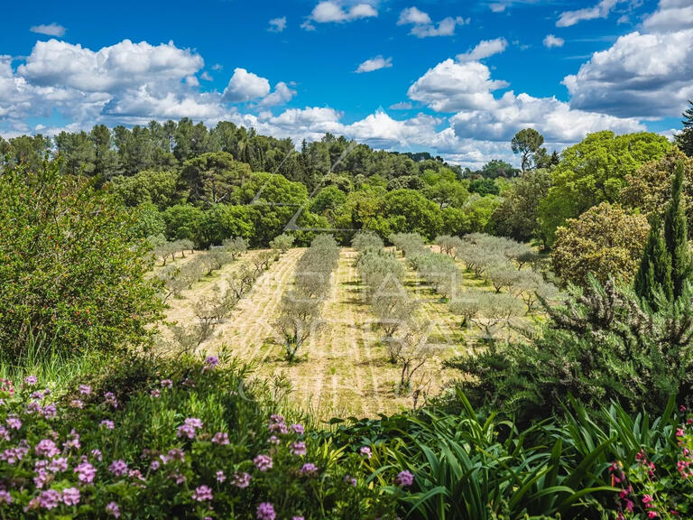 Propriété Saint-Rémy-de-Provence - 7 chambres - 533m²