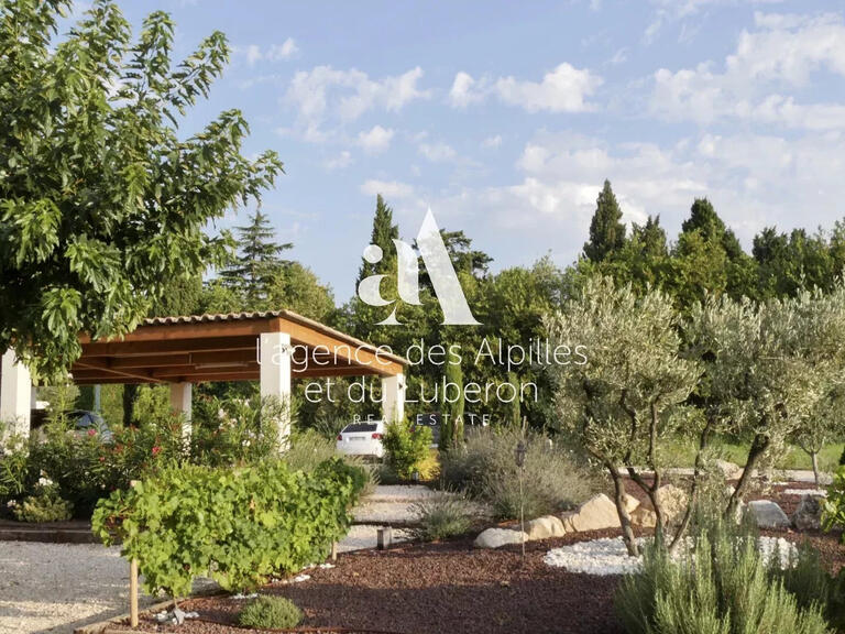 Villa Saint-Rémy-de-Provence - 4 chambres - 210m²