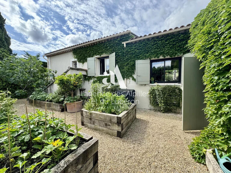 Villa Saint-Rémy-de-Provence - 4 chambres - 250m²