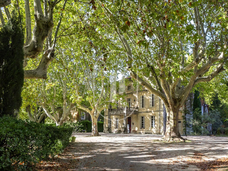 Château Saint-Restitut - 20 chambres - 1170m²