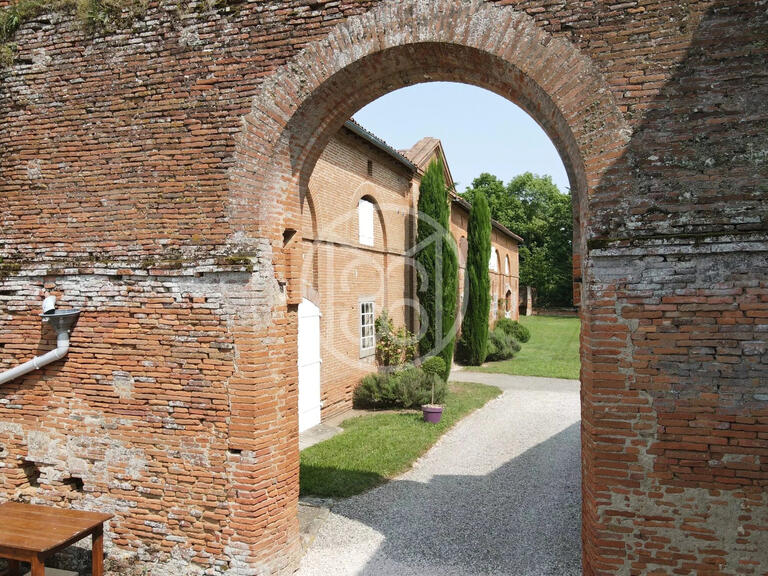 Château Saint-Sulpice-sur-Lèze - 6 chambres - 460m²