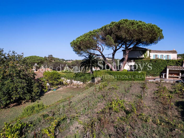 Maison Saint-Tropez - 5 chambres - 1054m²