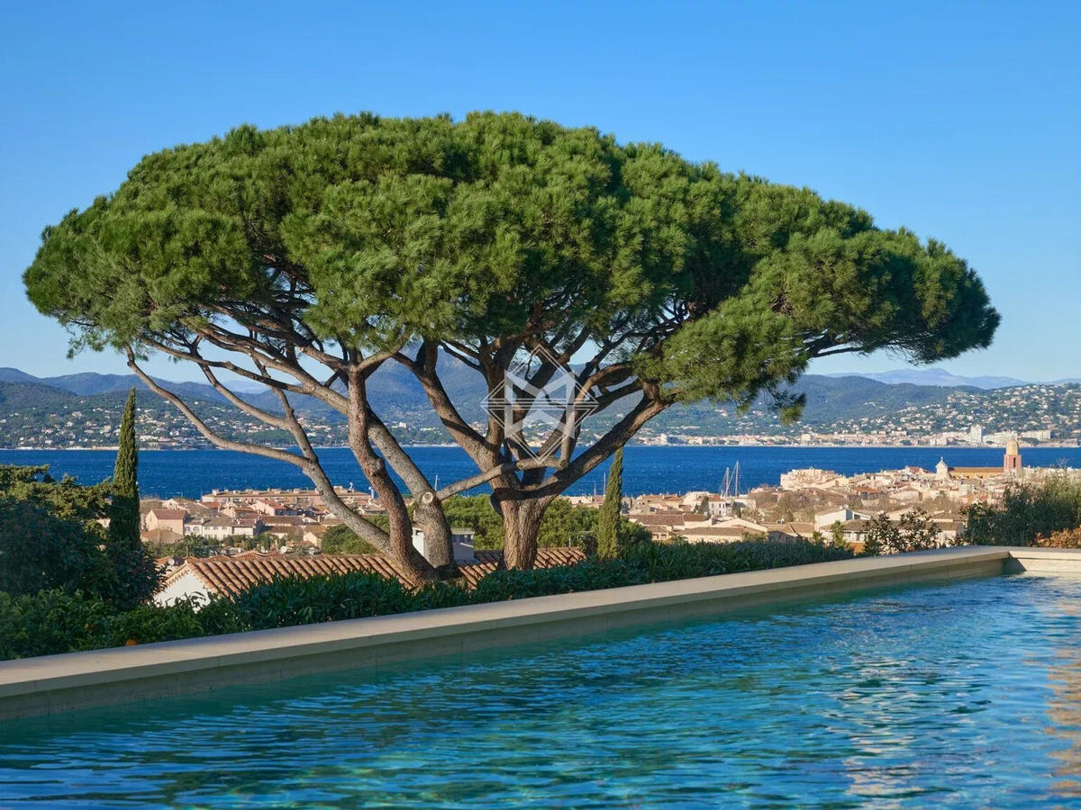 Property Saint-Tropez