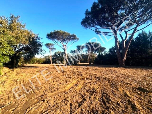 Land Saint-Tropez - 3650m²