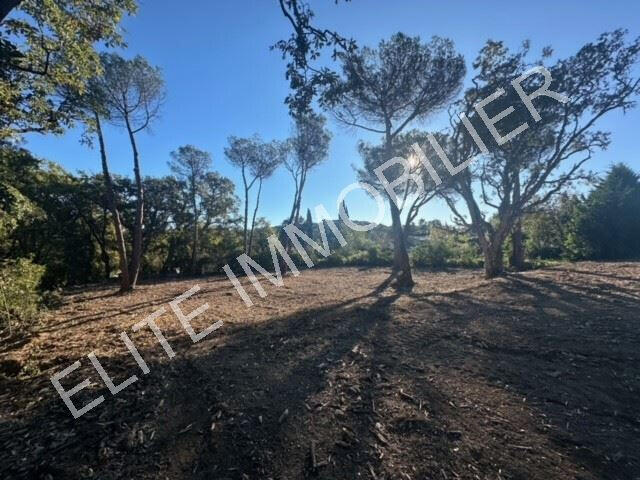 Land Saint-Tropez - 3650m²