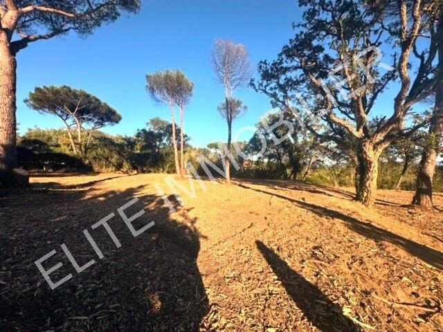 Terrain Saint-Tropez - 3543m²