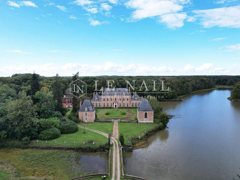 Château Saint-Viâtre - 17 chambres - 800m²