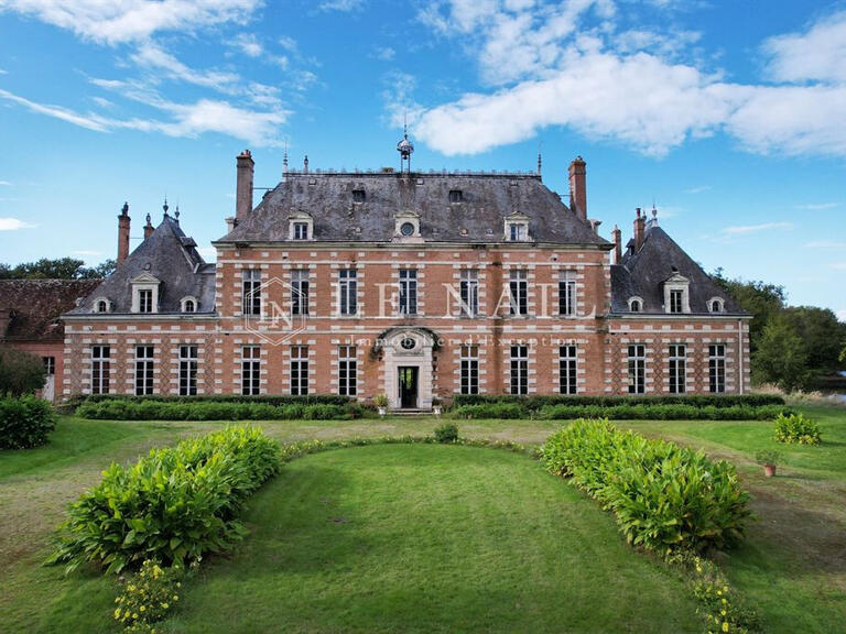 Castle Saint-Viâtre - 17 bedrooms - 800m²