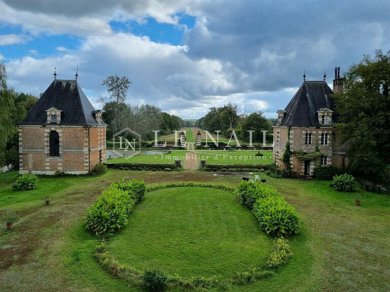 Castle Saint-Viâtre - 17 bedrooms - 800m²