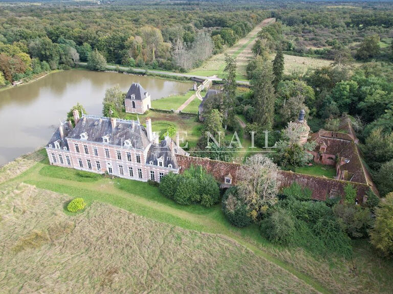 Castle Saint-Viâtre - 17 bedrooms - 800m²