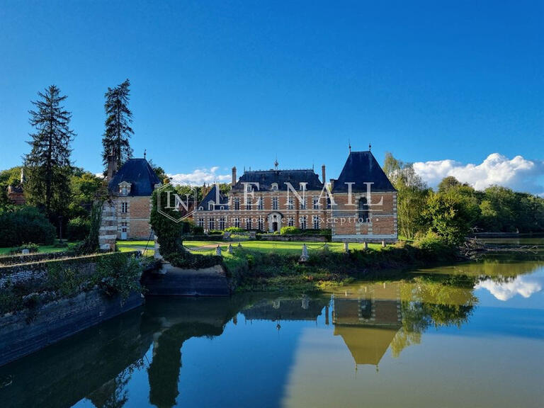 Château Saint-Viâtre - 17 chambres - 800m²