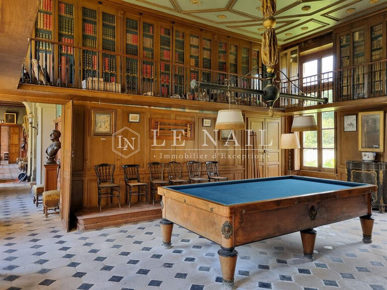 Castle Saint-Viâtre - 17 bedrooms - 800m²