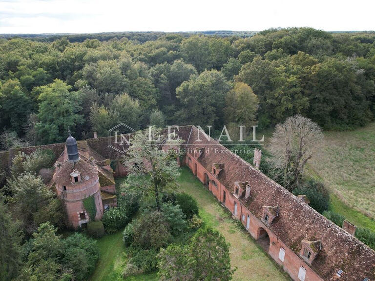 Castle Saint-Viâtre - 17 bedrooms - 800m²