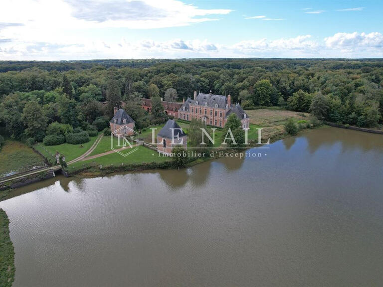 Castle Saint-Viâtre - 17 bedrooms - 800m²